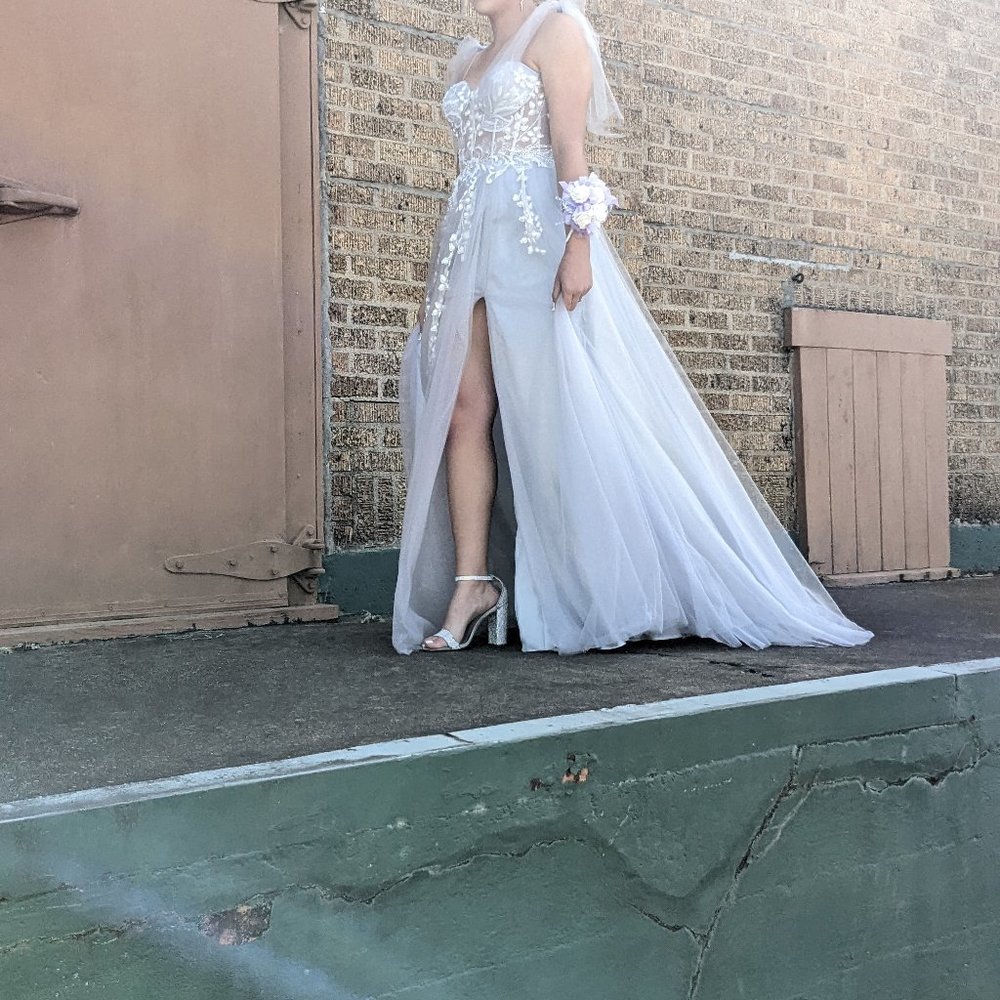 Prom Dress - Picture 5 of 6